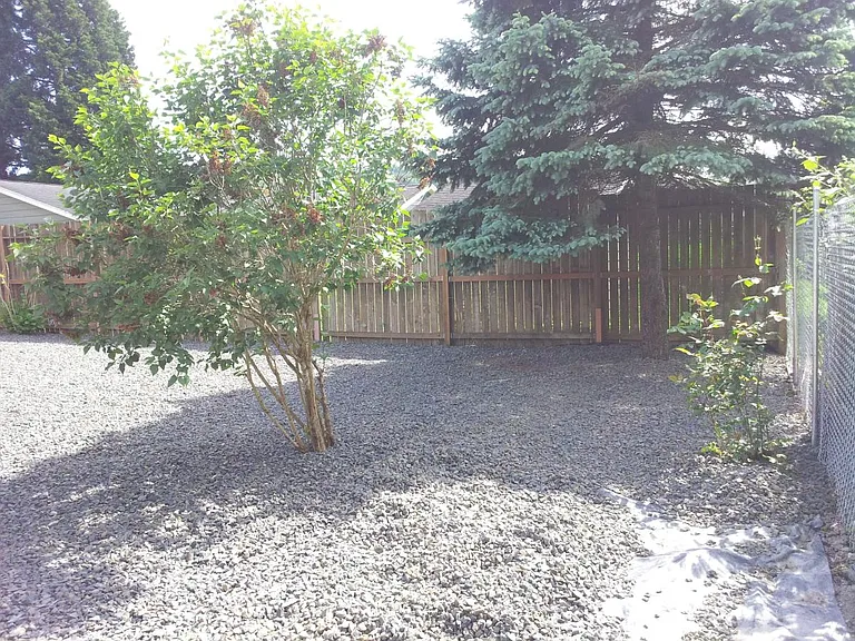 Back yard