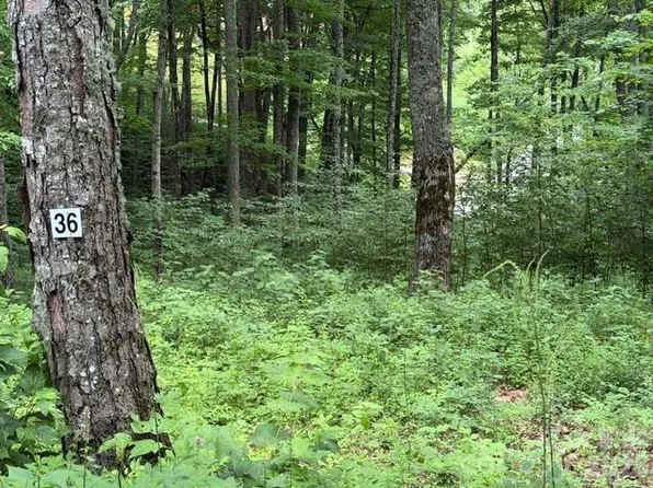 36 Odalu Trl, Maggie Valley, NC 28751