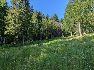 8732 Wind River Hwy, Carson, WA 98610