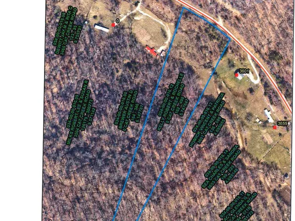 0 Cat Creek Rd, Stanton, KY 40380