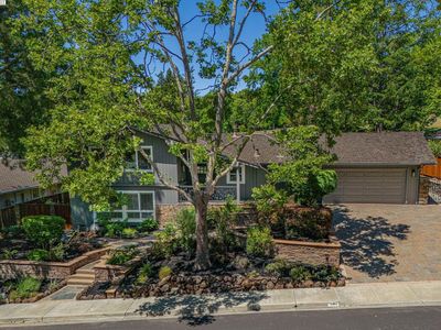 587 Old Orchard Dr, Danville, CA, 94526