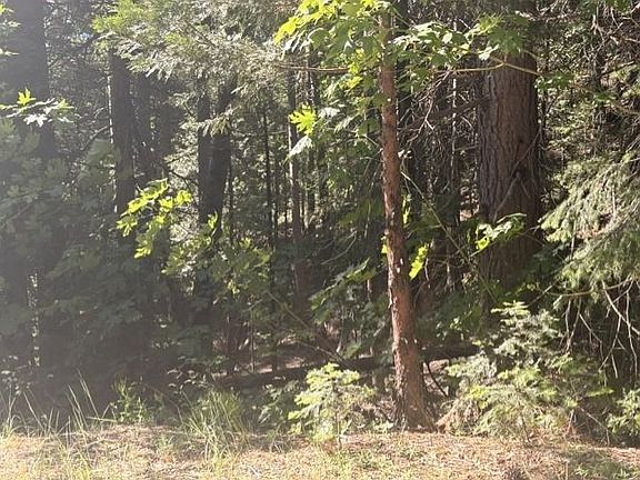 4th image of LOT 9 Audubon Rd
