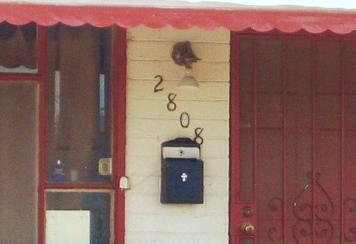 2nd image of 2808 W Mackenzie Dr
