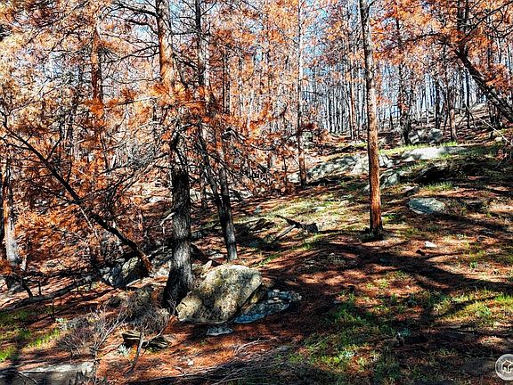 5th image of 1841 Spruce Mountain Dr
