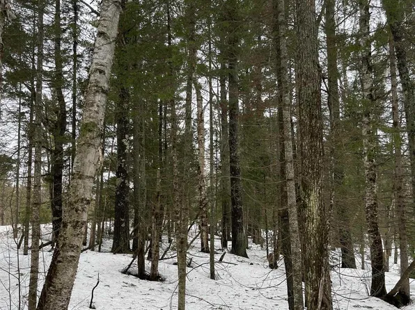 County Road Aah Red Rd, Ishpeming, MI 49849