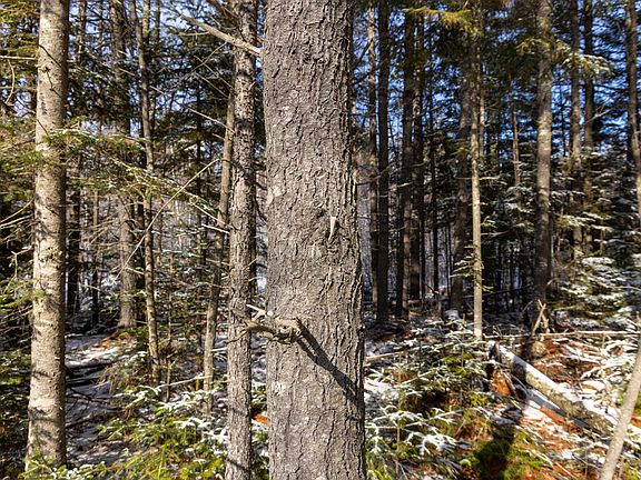 5th image of M11L3 Stud Mill Road