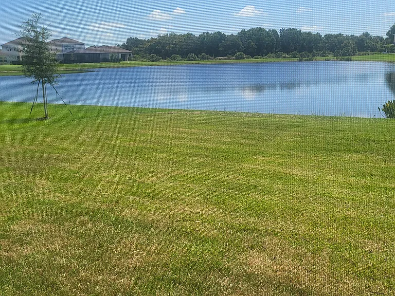 15076 Shady Palms Ln — Photo 6