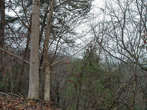 4th image of 31 Grouse Ridge Ln Lot 31