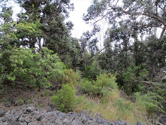 1st image of Sea Breeze Pkwy Lot 3