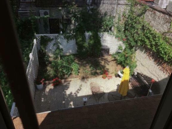 3rd image of 1273 42nd St #1