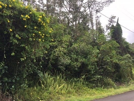 1st image of Hinalea St Lot 297
