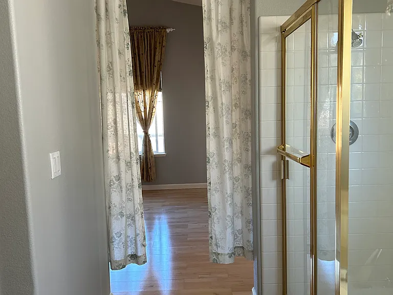 Master Bath Shower