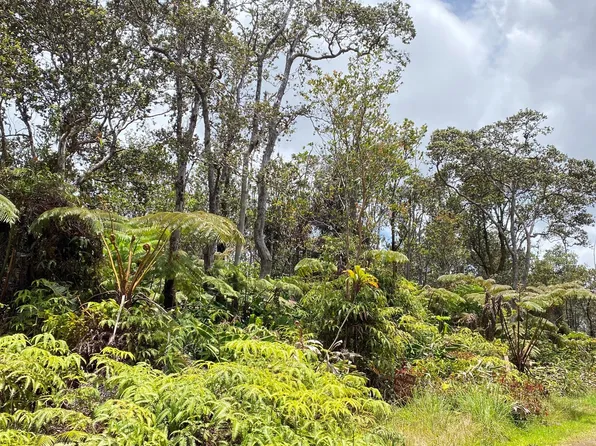 Ala Ohia St Lot 53-B-715, Volcano, HI 96785