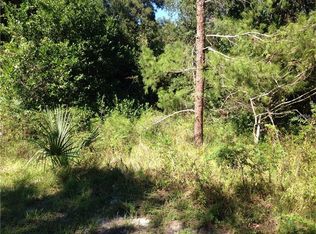 612 W Ohio Ave, Lake Helen, FL 32744