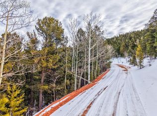 165 Witherite Dr, Divide, CO 80814