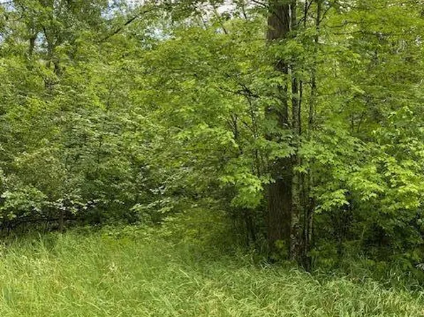 Lt0 NETZEL LANE, Crivitz, WI 54114