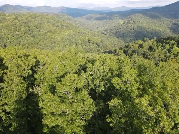 Big Four Rd Tract 1, La Follette, TN 37766