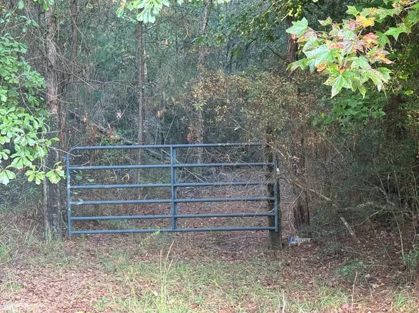 0 County Road 215, Jack, AL 36346