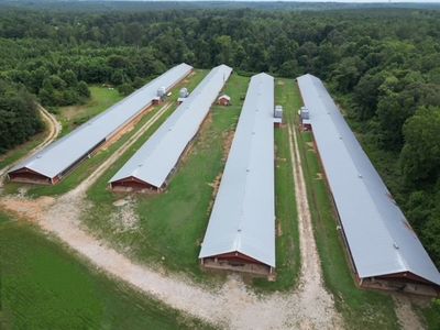 667 Paoli Rd, Carlton, GA, 30627