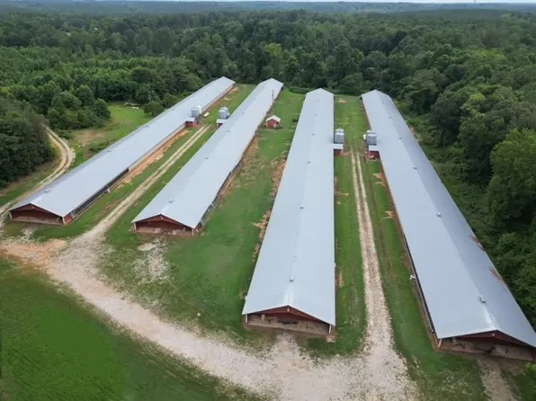 667 Paoli Rd, Carlton, GA 30627