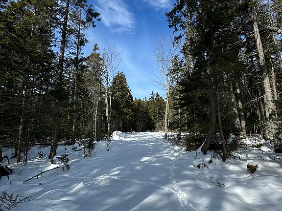 2nd image of 12 Jamestown Road