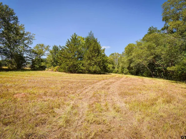 Tbd Cr 138, Flint, TX 75762