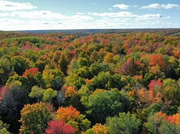 Ken Pen Dr, Frederic, MI 49733