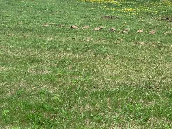 212 Industrial Park Dr NW, Saint Charles, MN 55972