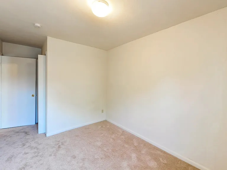 Brentwood Forest Apartments — Photo 8
