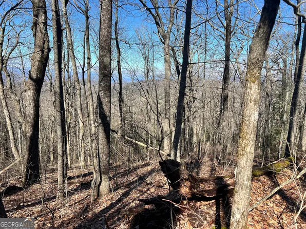 0 Knob Dr, Dillard, GA 30537