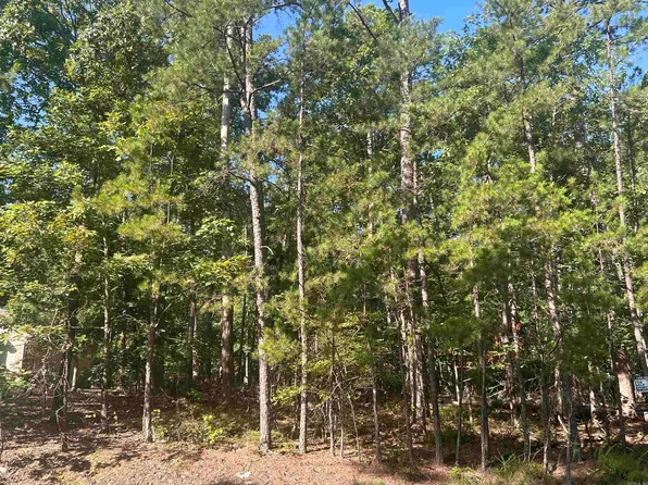 143 Viajero Dr, Hot Springs Village, AR 71909