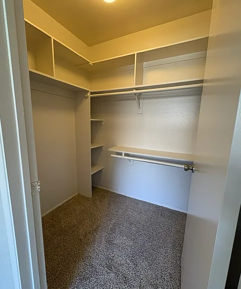 2920 Luciernaga St #2 — Photo 14