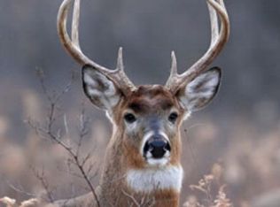 15013 Highway Pp, New Boston, MO 63557