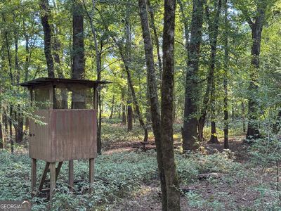 583 Treisch Rd, Hawkinsville, GA, 31036