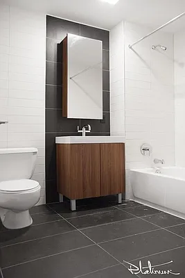 Rented by Platinum Properties | media 19