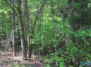 LOT 4 Hickory Ln, Valley Head, AL 35989