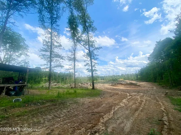4194 Martinsville Rd, Wesson, MS 39191