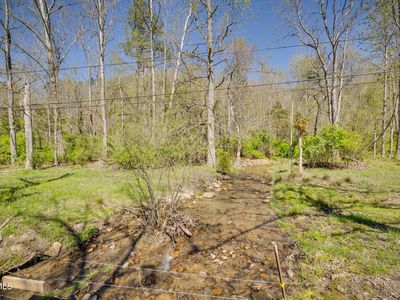Morrell Creek Ln, Bluff City, TN, 37618