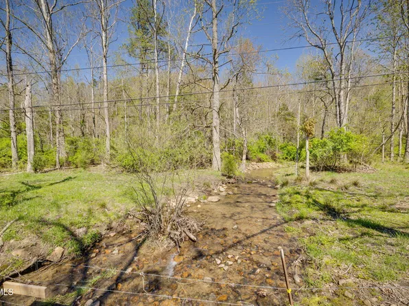 Morrell Creek Ln, Bluff City, TN 37618