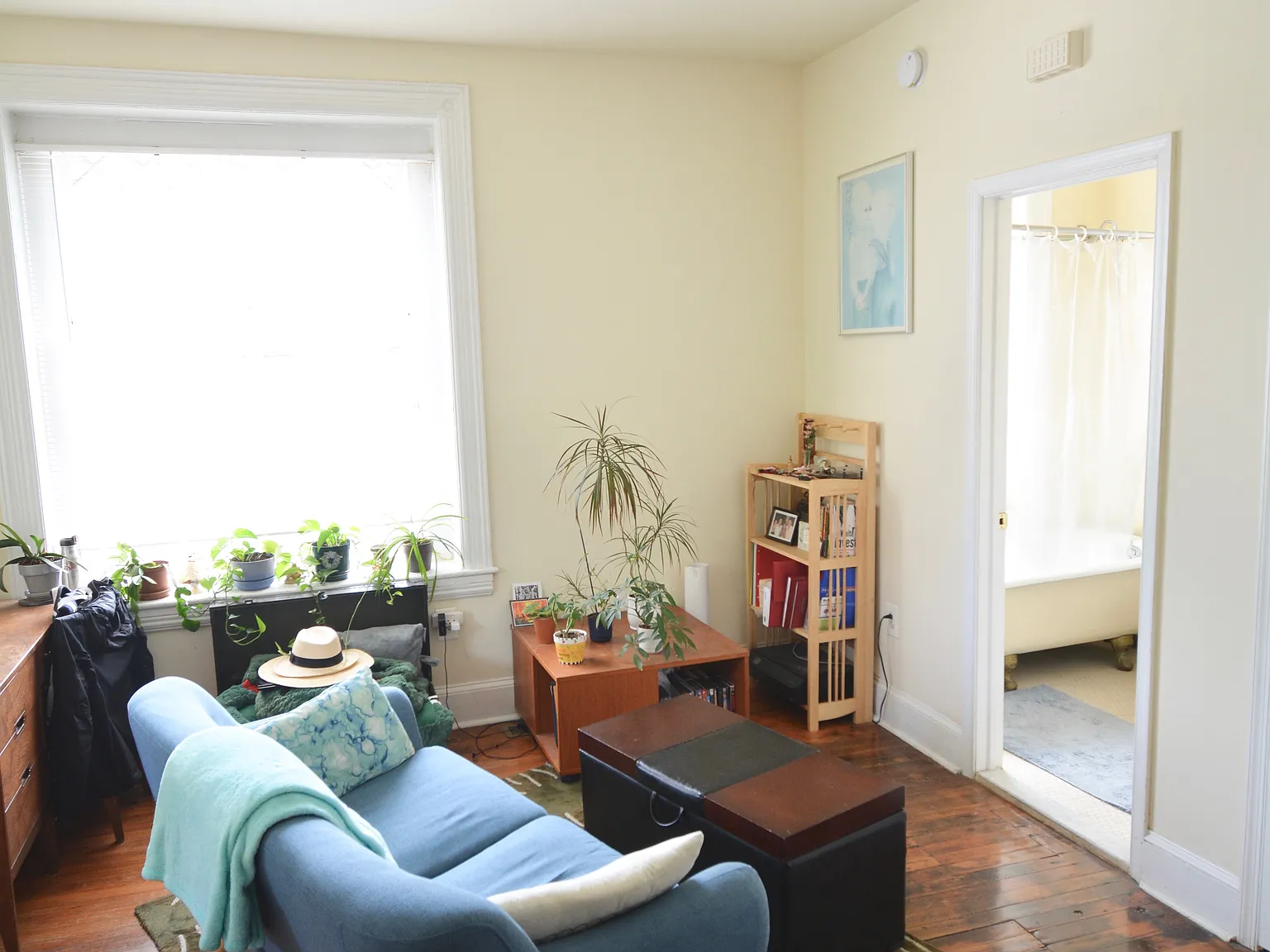 1 bed, 450 sqft, $1,250 — Photo 3