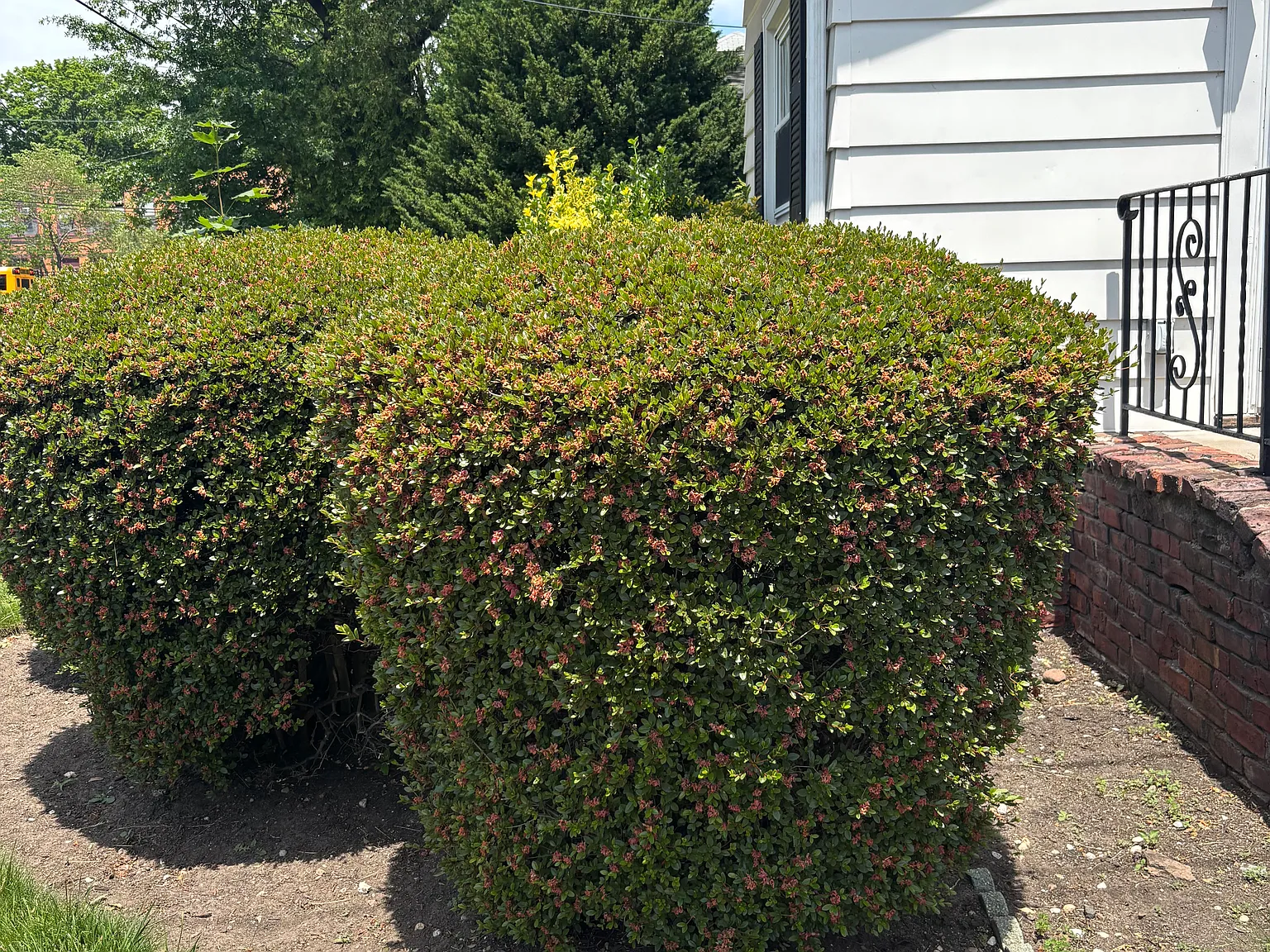 Katherine St, Teaneck — Photo 1