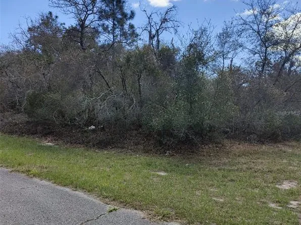 408 Vernon Ct Lot 5, Kissimmee, FL 34759