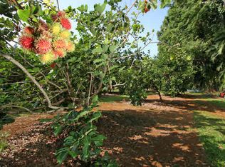 Off Of Hawaii Belt Rd LOT 19, Pepeekeo, HI 96783