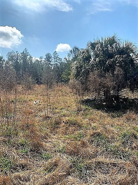 2nd image of 32626 Red Oak Dr