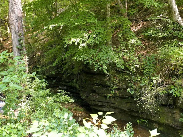 2024 Powdermill Hill Rd, Lawrenceburg, TN 38464