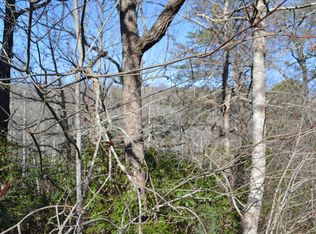 1 Beach Mountain Dr, Warne, NC 28909