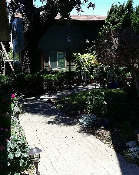 481 Hillview St — Photo 18