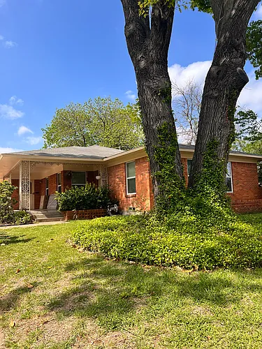 6537 E Mockingbird Ln Photo 1