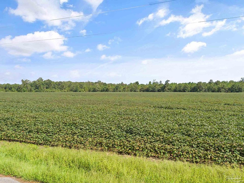 2nd image of PARCEL 4 Mineral Springs Rd