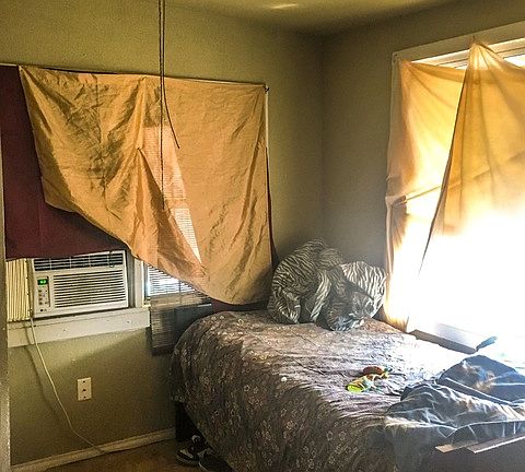 5th image of 3214 Morales St
